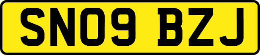 SN09BZJ