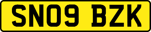 SN09BZK