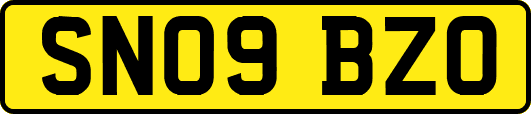 SN09BZO