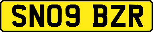 SN09BZR