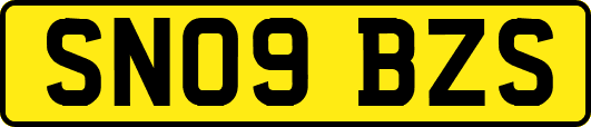 SN09BZS