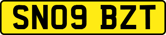 SN09BZT