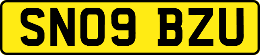 SN09BZU