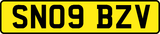 SN09BZV
