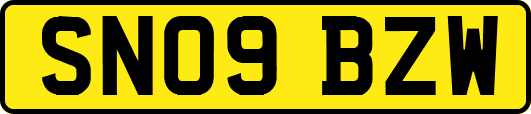 SN09BZW