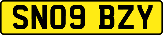 SN09BZY