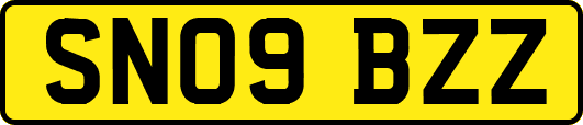 SN09BZZ