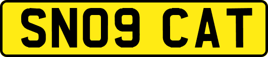 SN09CAT