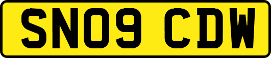 SN09CDW