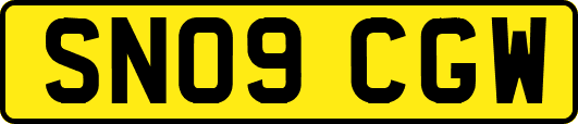 SN09CGW