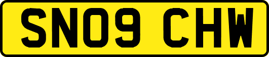 SN09CHW