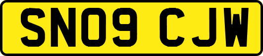 SN09CJW