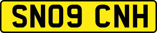 SN09CNH