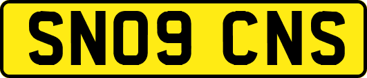 SN09CNS