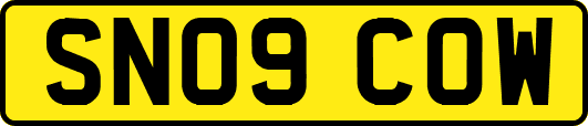 SN09COW