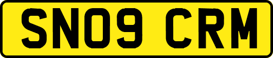 SN09CRM