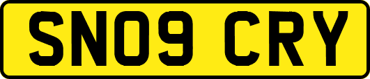 SN09CRY