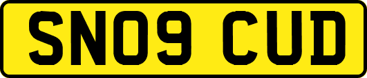 SN09CUD