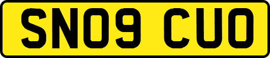 SN09CUO