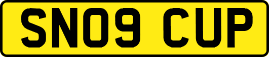 SN09CUP