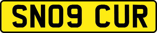 SN09CUR