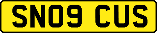 SN09CUS