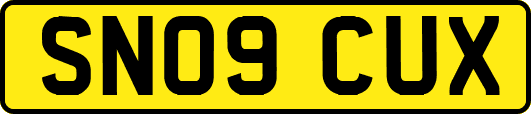 SN09CUX