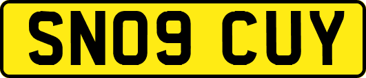 SN09CUY