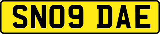 SN09DAE