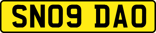 SN09DAO