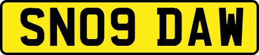 SN09DAW