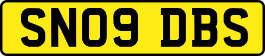 SN09DBS