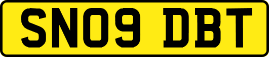 SN09DBT