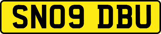 SN09DBU