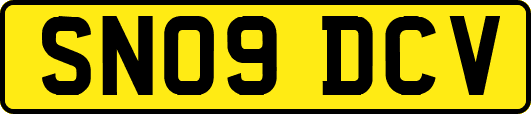 SN09DCV