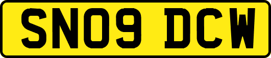 SN09DCW