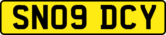 SN09DCY