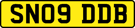 SN09DDB