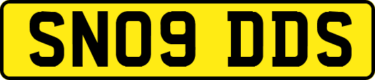 SN09DDS