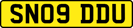 SN09DDU