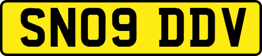 SN09DDV