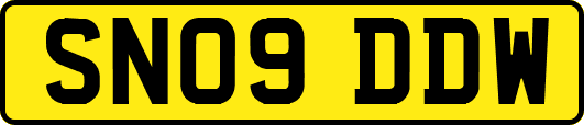 SN09DDW