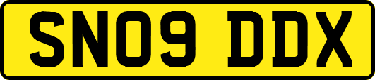 SN09DDX