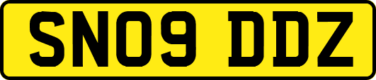 SN09DDZ