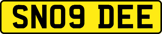 SN09DEE