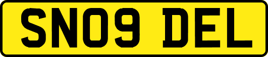 SN09DEL