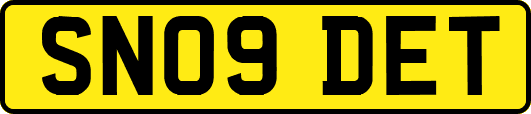 SN09DET