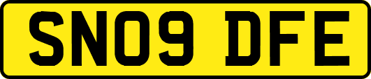 SN09DFE