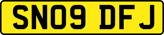 SN09DFJ