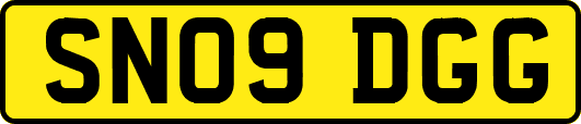 SN09DGG